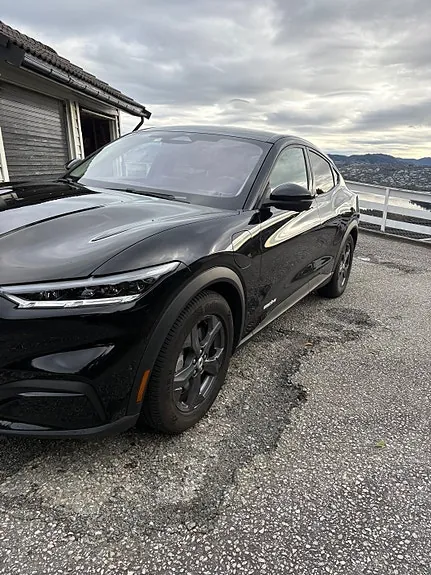 Ford Mustang Mach-E 2021 photo 4