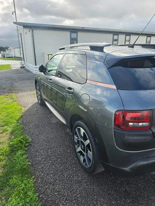 Citroen C4 Cactus 2016 photo 5