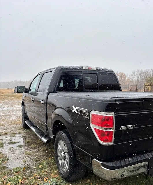 Ford F-150 2011 photo 2