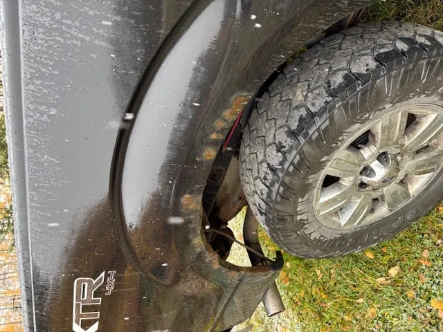 Ford F-150 2011 photo 3