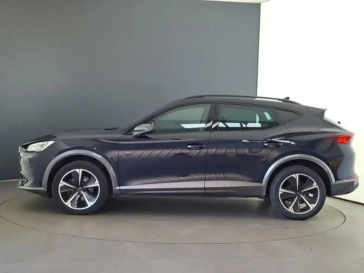 Cupra Formentor 2022 photo 4