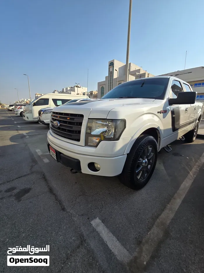 Ford F-150 2014 photo 3