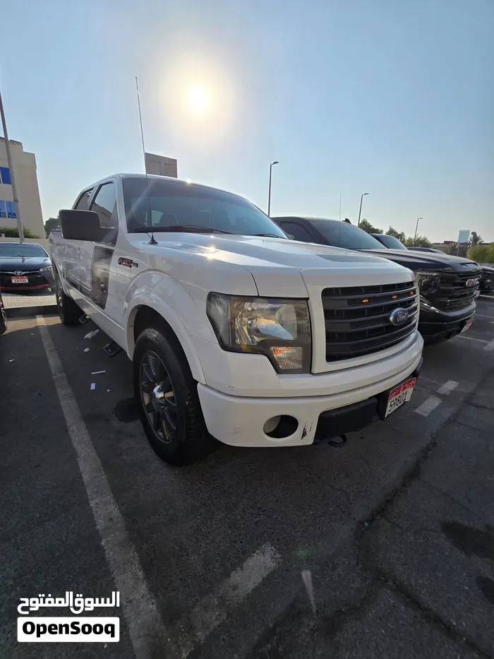 Ford F-150 2014 photo 2