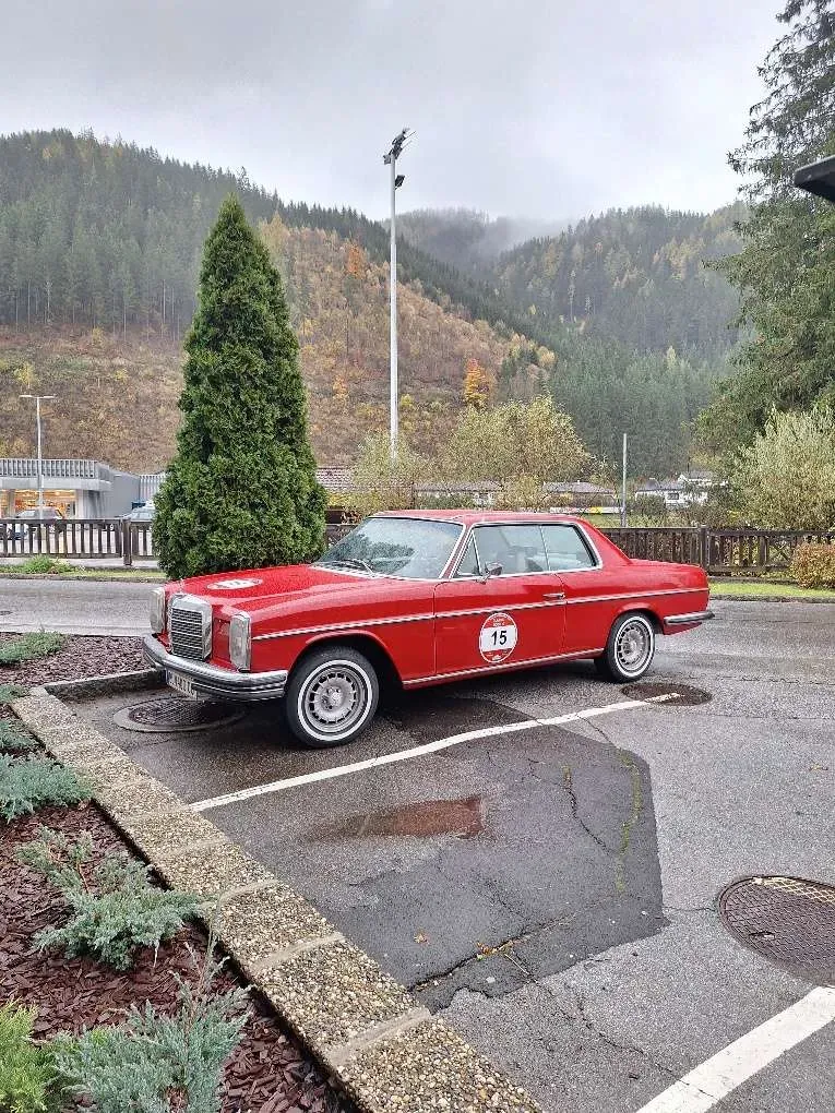 Mercedes-Benz 280 1973 photo 2