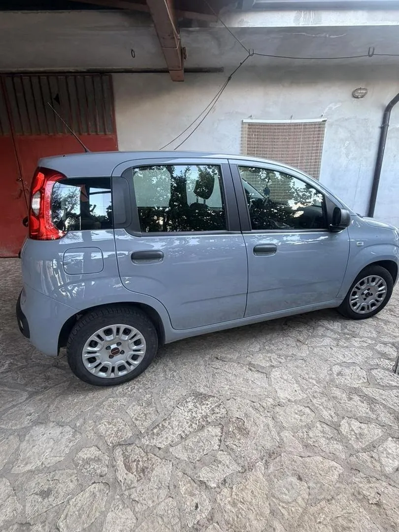 Fiat Panda 2017 photo 2