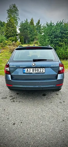 Skoda Octavia 2019 photo 3