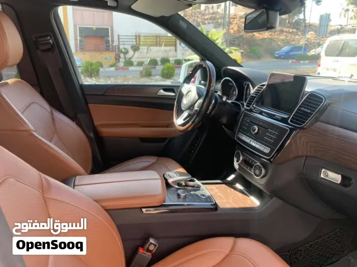 Mercedes-Benz Gls-Class 2018 photo 4