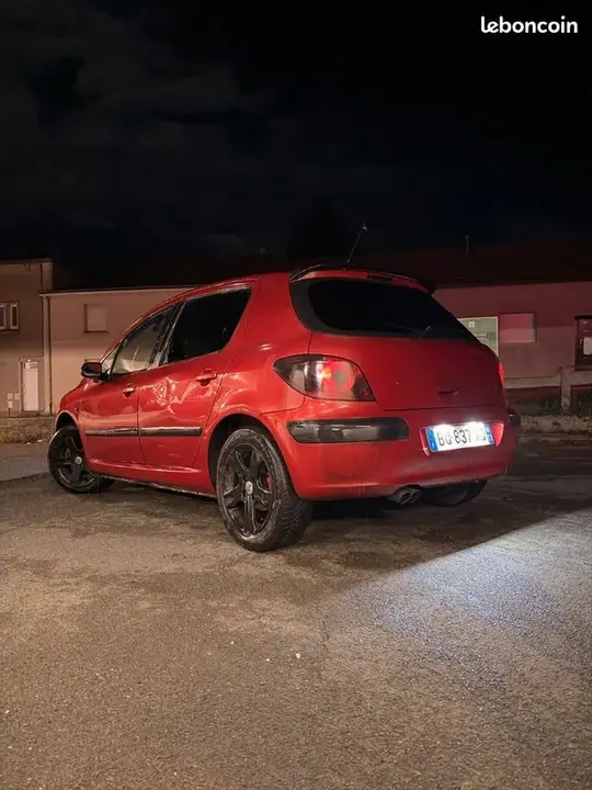 Peugeot 307 2002 photo 3