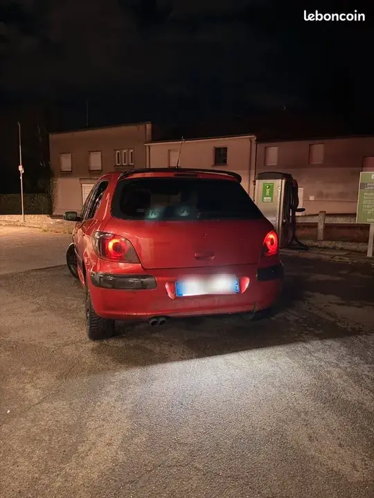 Peugeot 307 2002 photo 2