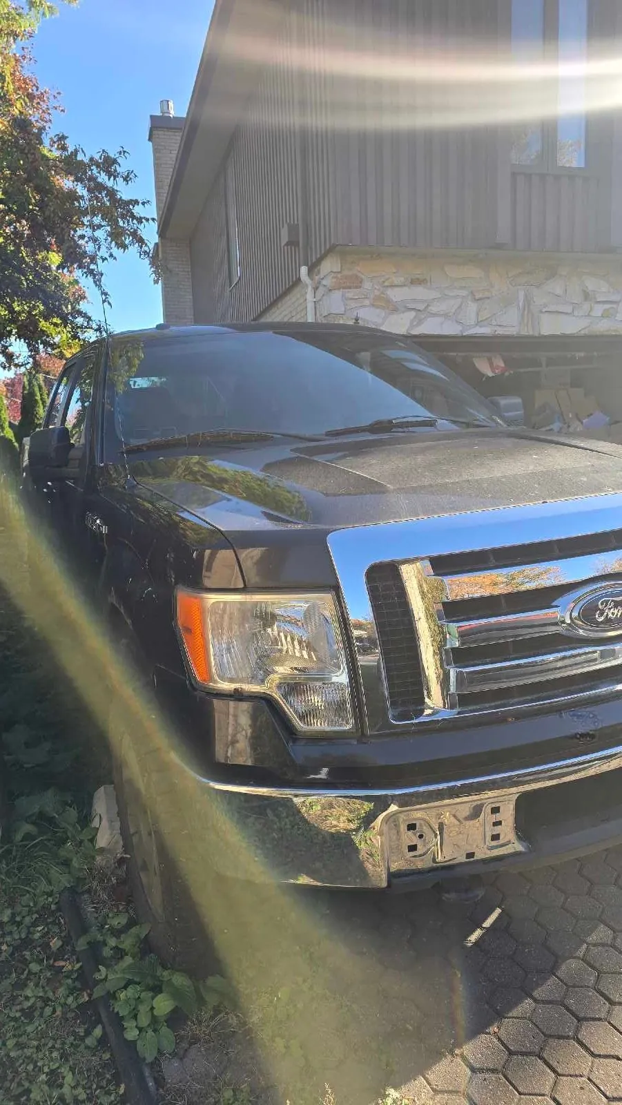 Ford F-150 2012 photo 2