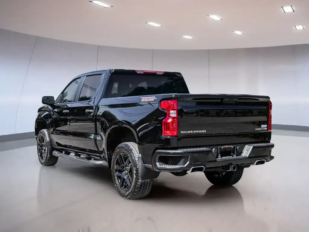 Chevrolet Silverado 1500 2024 photo 5
