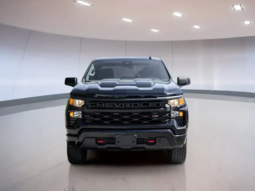 Chevrolet Silverado 1500 2024 photo 3
