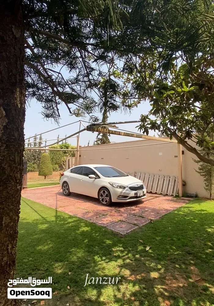 Kia K3 2015 photo 3