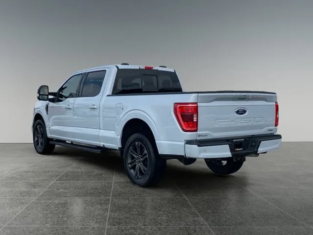 Ford F-150 2021 photo 4