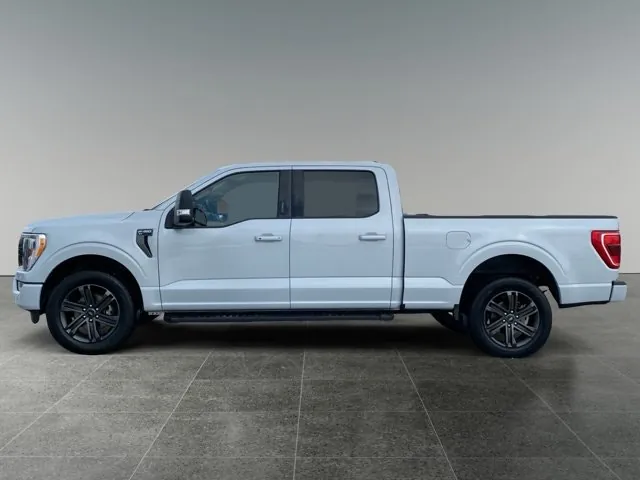 Ford F-150 2021 photo 2