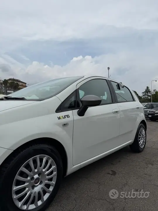 Fiat Punto 2014 photo 3