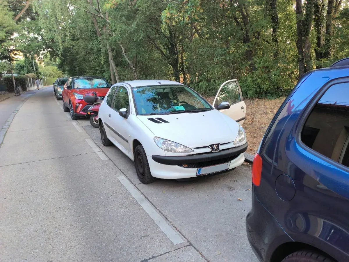 Peugeot 206 2005 photo 2