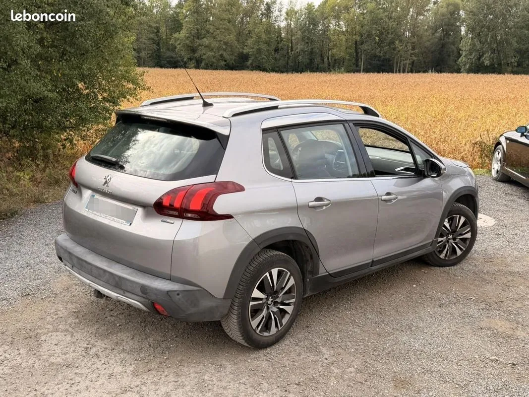 Peugeot 2008 2017 photo 2