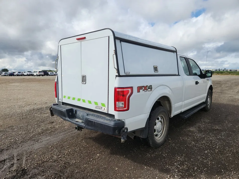 Ford F-150 2015 photo 4