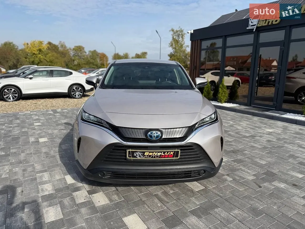 Toyota Venza 2021 photo 3
