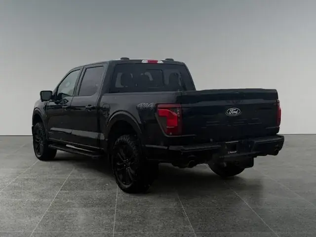 Ford F-150 2024 photo 4