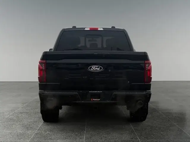 Ford F-150 2024 photo 5