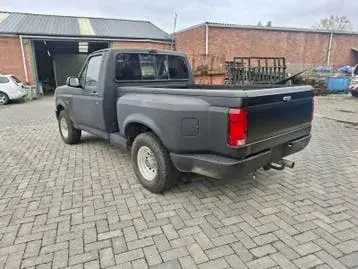 Ford F-150 1993 photo 3