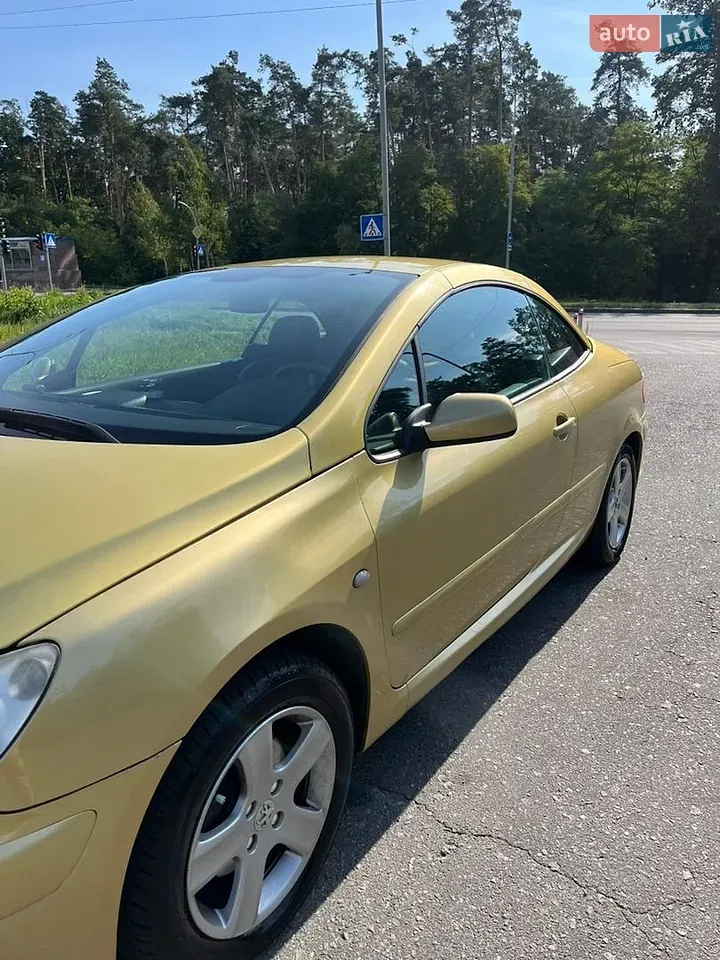 Peugeot 307 2005 photo 3