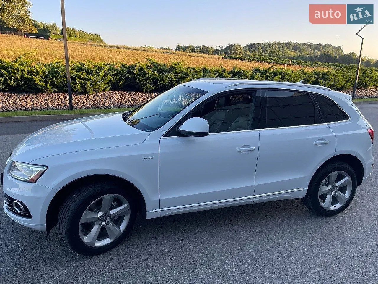 Audi Q5 2013 photo 4