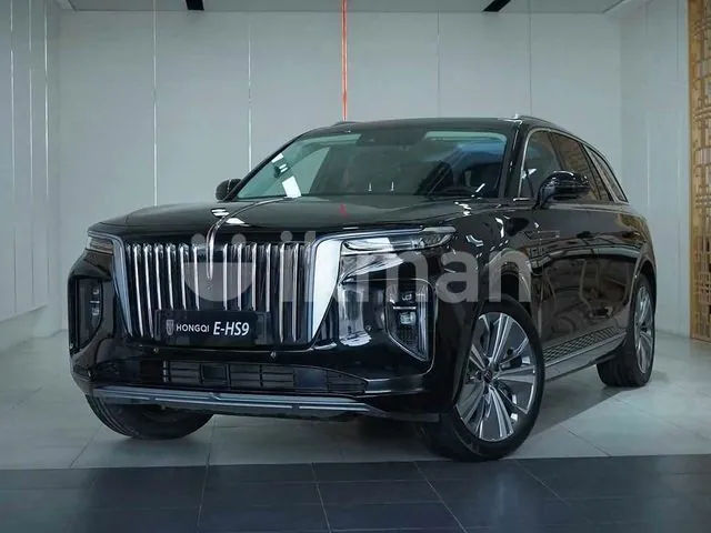 Hongqi E-Hs9