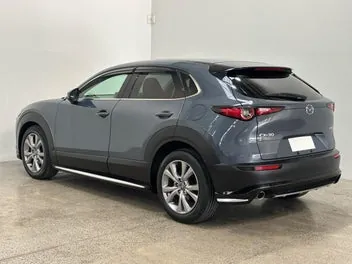 Mazda Cx-30 2019 photo 3