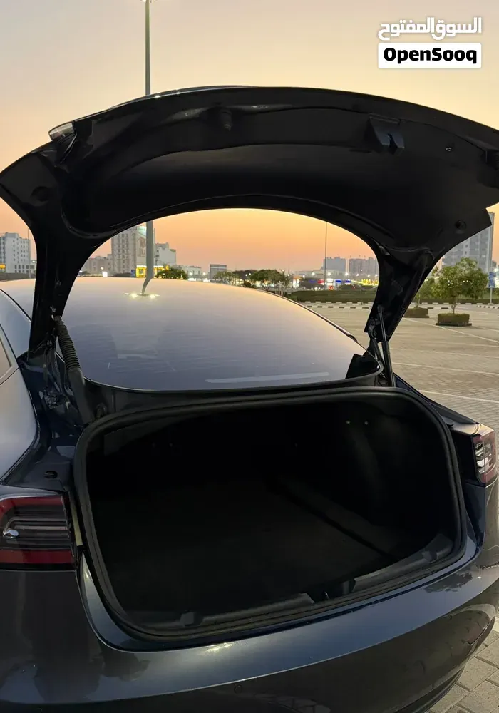Tesla Model 3 2023 photo 4