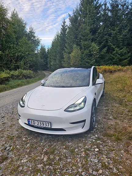 Tesla Model 3 2021 photo 2