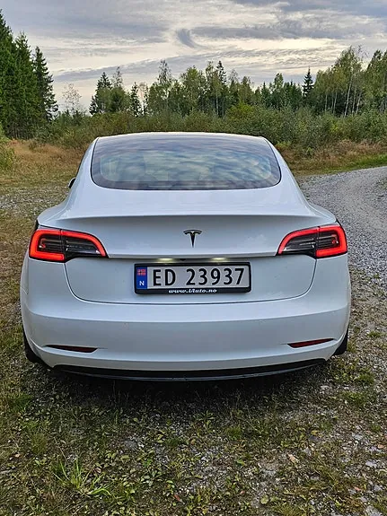 Tesla Model 3 2021 photo 4