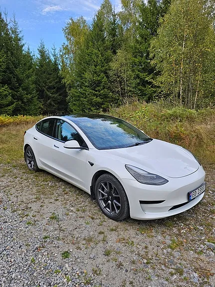 Tesla Model 3 2021 photo 5