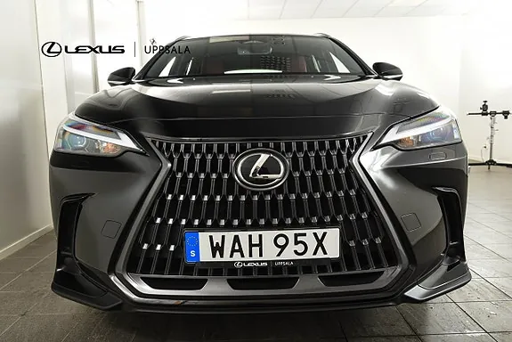 Lexus Nx350H 2023 photo 4