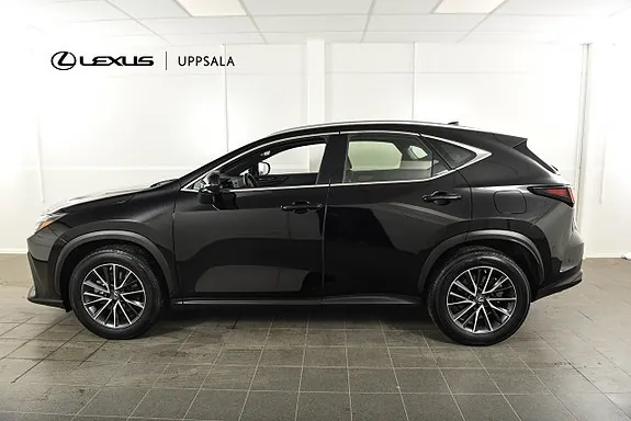 Lexus Nx350H 2023 photo 2
