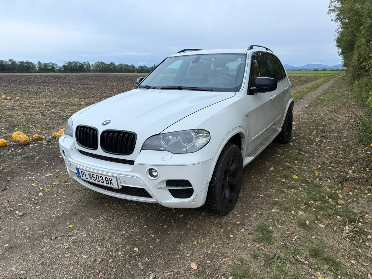 BMW X5 2010 photo 2