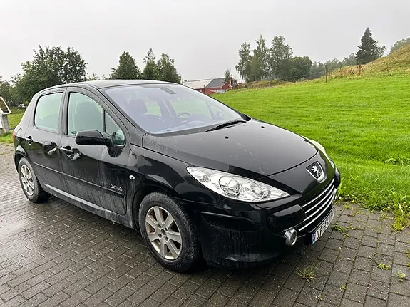 Peugeot 307 2007 photo 4