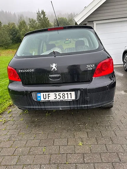 Peugeot 307 2007 photo 3