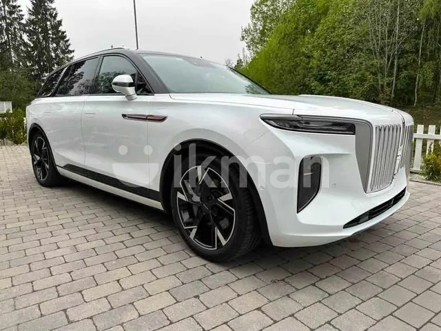 Hongqi E-Hs9