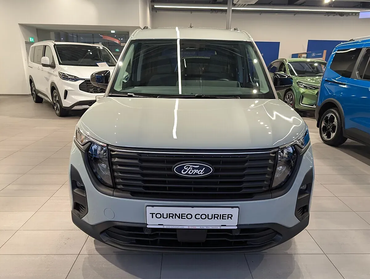 Ford Tourneo photo 2