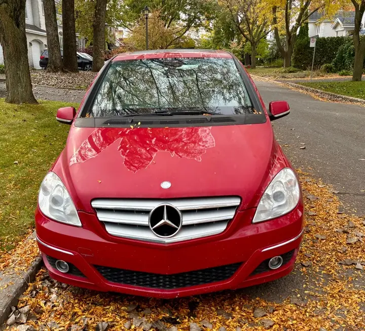 Mercedes-Benz B-Class 2009 photo 2