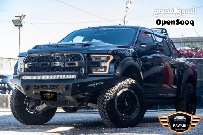 Ford Raptor 2017 photo 3