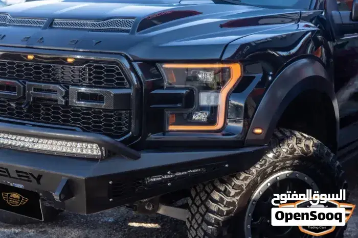 Ford Raptor 2017 photo 4