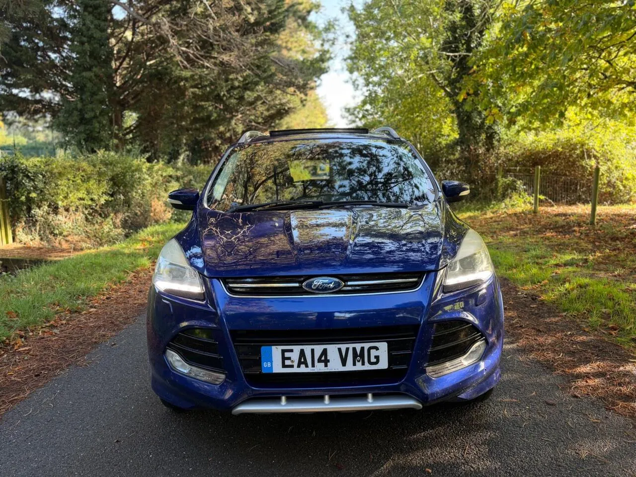 Ford Kuga 2014 photo 4