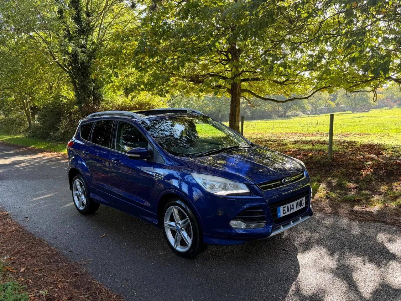 Ford Kuga 2014 photo 2