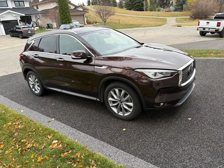 Infiniti Qx50 2021 photo 4