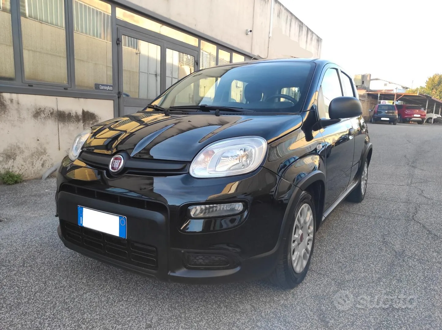 Fiat Panda 2024 photo 2