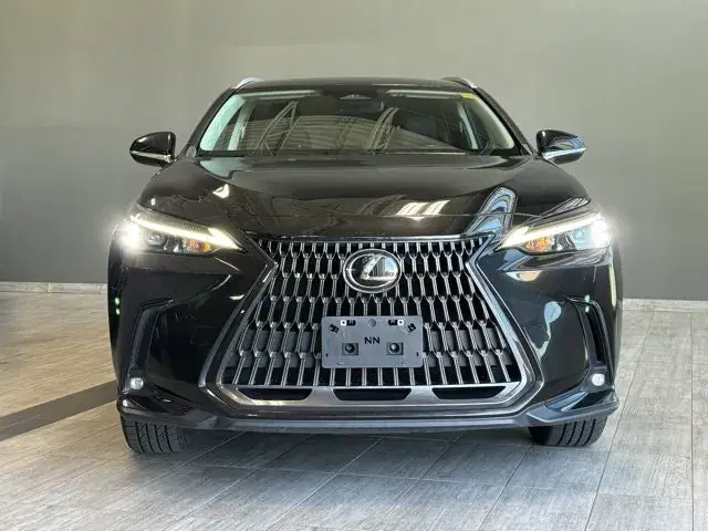Lexus Nx 2023 photo 3